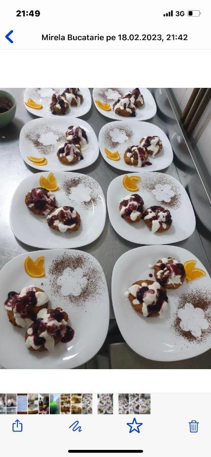 Pensiunea El Greco Frîna エクステリア 写真
